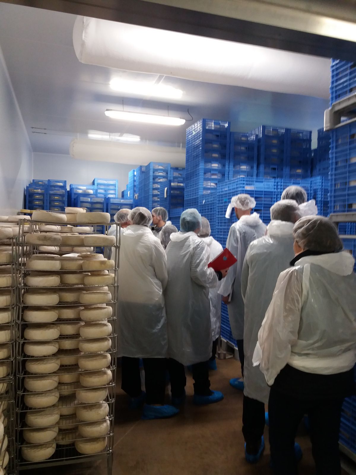 Visite De La Fromagerie Des Monts Du Cantal à Pierrefort Cstl Cfppa Daurillac 