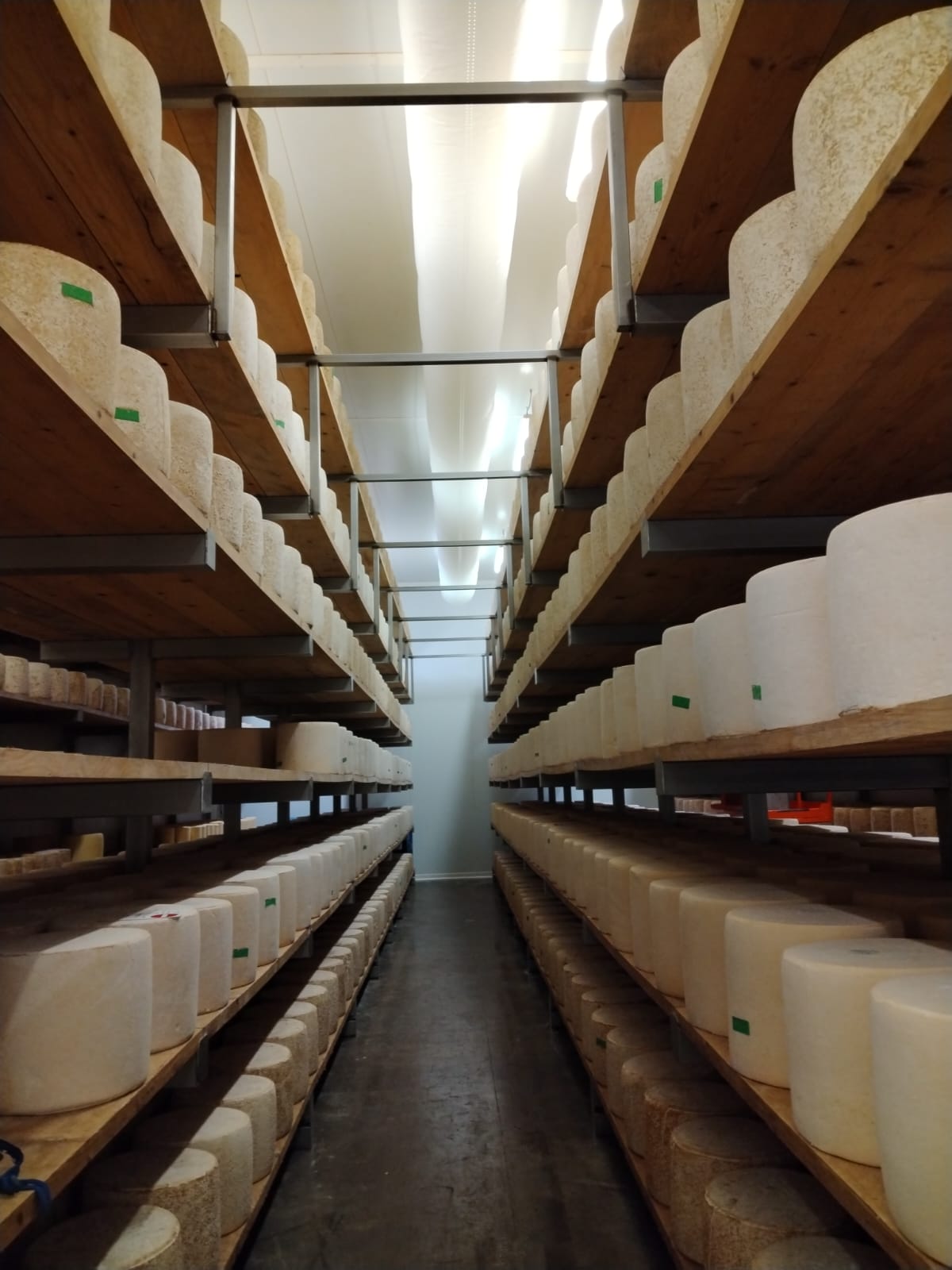 Visite De La Fromagerie Des Monts Du Cantal à Pierrefort Cstl Cfppa Daurillac 